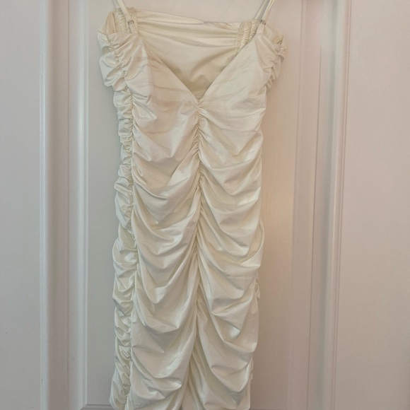 Tiger Mist White Mini 🤍 - Picture 4 of 5